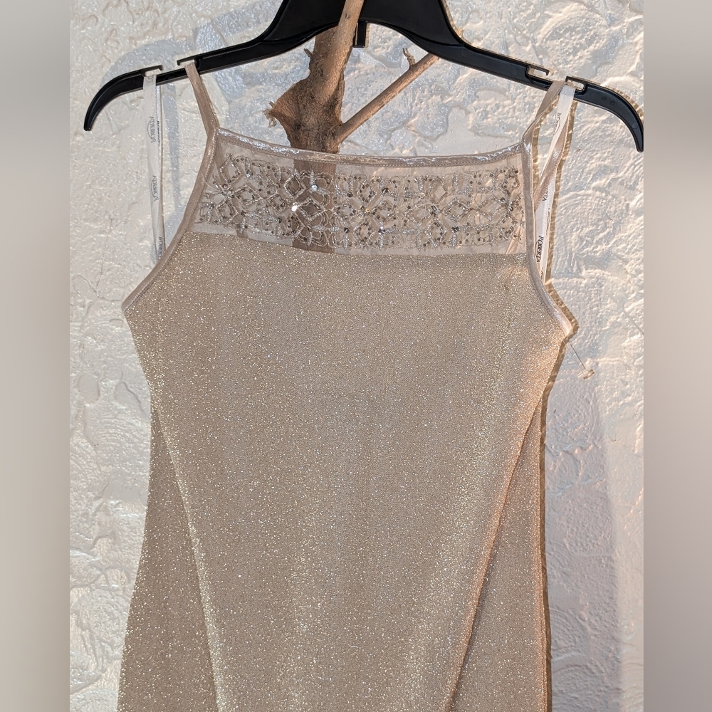 Roberta gold glitter Sequins dress. NWOT size large